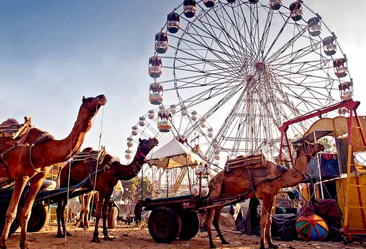 Rajasthan Fair